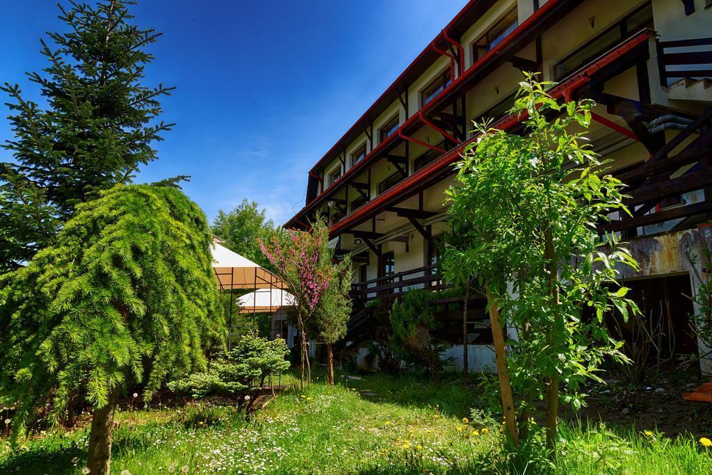 The Garden Resort Moieciu de Jos Exterior foto